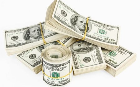 Dollar bahalaşdı