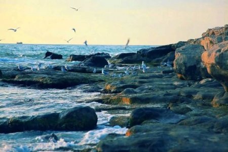Xəzərin hüquqi statusuna dair işçi qrupunun iclası başlayıb