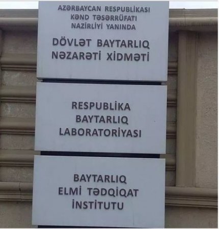 “BazarStore”un müştəri ilə bağlı qalmaqalı böyüyür – FOTO + VİDEO