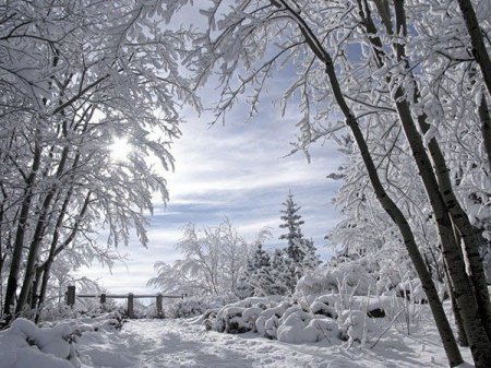 Fevral ayına olan hava – PROQNOZU