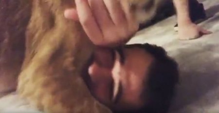 Emin Ağalarov şirin balası ilə belə oynadı