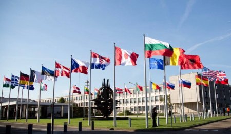 NATO Moldovada ofis açacaq