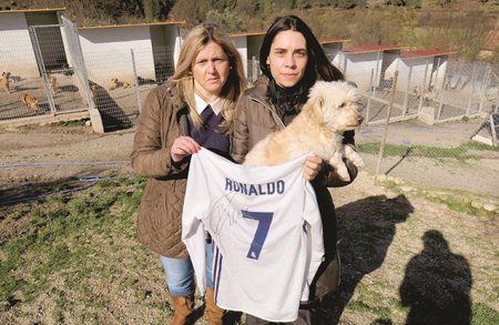 Ronaldodan növbəti xeyirxah addım