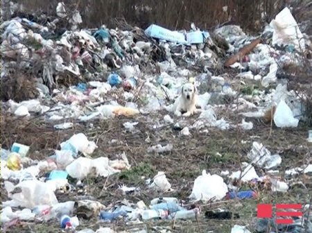Ağsuda tarixi abidə və ziyarətgahın ərazisi zibilxanaya çevrilib