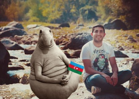 2017-ci ilin trend olan şəkli!