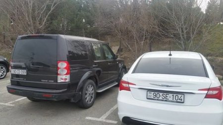Yol polisi bahalı avtomobilləri cərimə meydançasına saldı