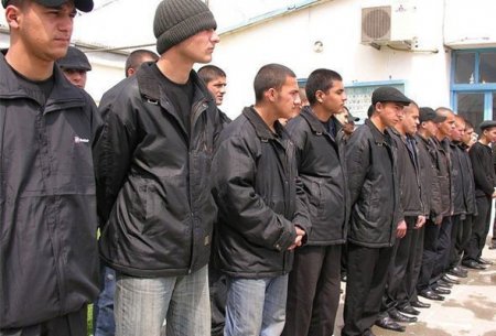 Əfv Komissiyası 450 müraciətə müsbət rəy verib