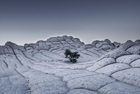 “World Photography Awards 2017”: Dünyanın ən yaxşı fotoqraflarının şəkilləri