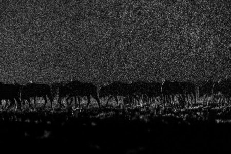 “World Photography Awards 2017”: Dünyanın ən yaxşı fotoqraflarının şəkilləri
