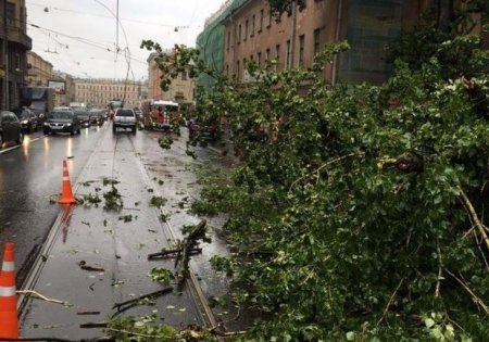 Moskvada qasırğa ilə bağlı əhaliyə xəbərdarlıq edilib