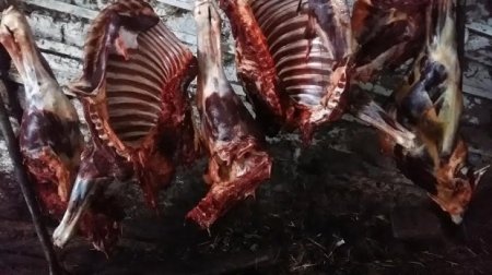 Cəlilabadda at kəsimi ilə məşğul olan şəxs qanunsuz əməlini yenidən davam etdirib