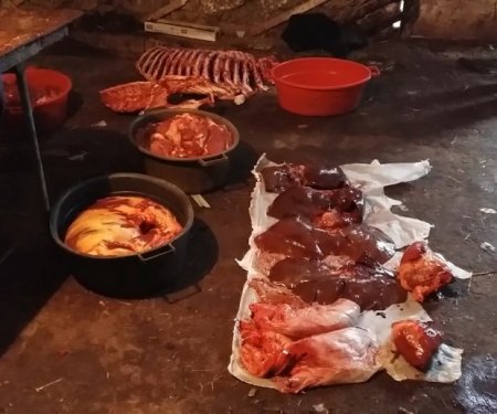 Cəlilabadda at kəsimi ilə məşğul olan şəxs qanunsuz əməlini yenidən davam etdirib