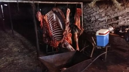 Cəlilabadda at kəsimi ilə məşğul olan şəxs qanunsuz əməlini yenidən davam etdirib