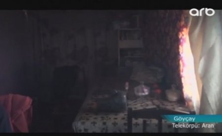 Göyçayda ilanlar evlərə hücum edib