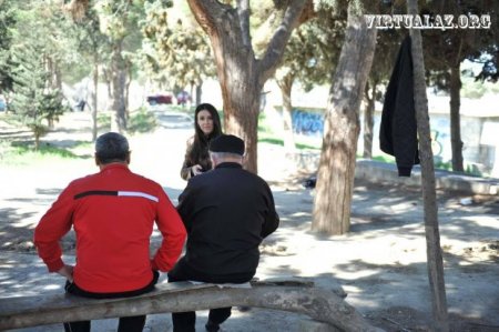 Bakıdakı “Dendrapark” hissə-hissə hasarlanaraq məhv edilir