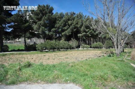 Bakıdakı “Dendrapark” hissə-hissə hasarlanaraq məhv edilir