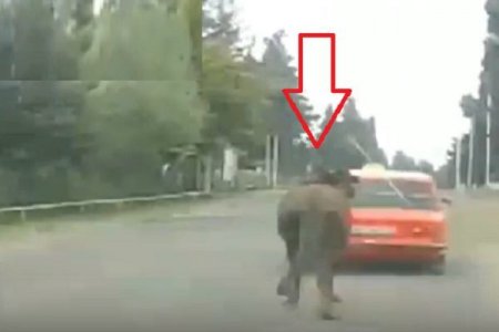 Biri yedəkli motosikleti iki təkər üzərində sürür, digəri atı avtomobilə bağlayıb dartır