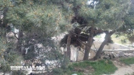 Bakının mərkəzində prezidenti hiddətləndirən vandalizm: buldozerlər gecə hücum edib...