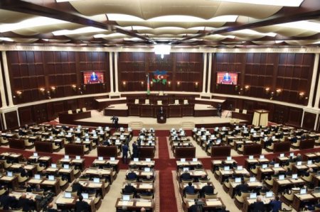 Samir Şərifov təkzib edir, ağacları deputatlara görə kəsiblər