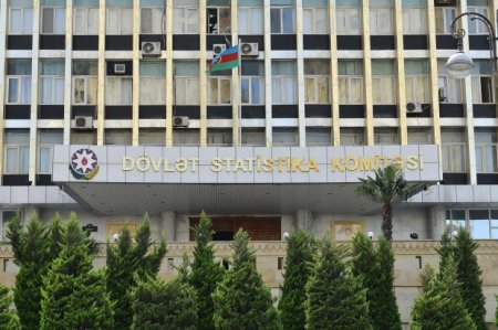 Azərbaycanda ətin bahalaşmasının səbəbi rəsmən açıqlandı: 13 min mal-qara, 42.5 min qoyun...