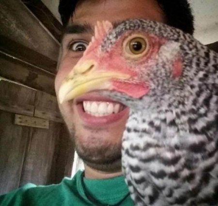 Zamanında çəkilən təkrarsız fotolar