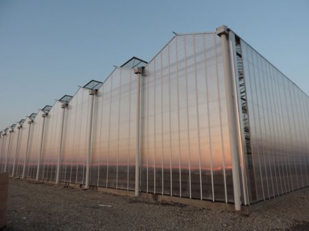 Azərbaycanın kənd təsərrüfatında xərcləri 70% azaldacaq mühüm yenilik