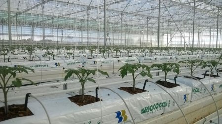 Azərbaycanın kənd təsərrüfatında xərcləri 70% azaldacaq mühüm yenilik