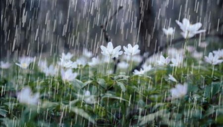 Hava yenə dəyişəcək: şimşək, yağış, dolu...