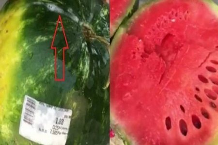 “Fontan vuran” qarpız alıcını şoka saldı