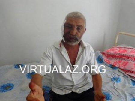 Canavarlar və kəndlilər: kimin hüquqları daha çox qorunur...