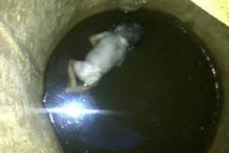 Lənkəranda 6 günlük nəvəsini öldürərək quyuya atan nənə həbs olundu