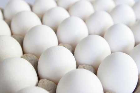 Dünyada yeni böhran-Avropada yumurtalarda zəhər aşkarlanıb
