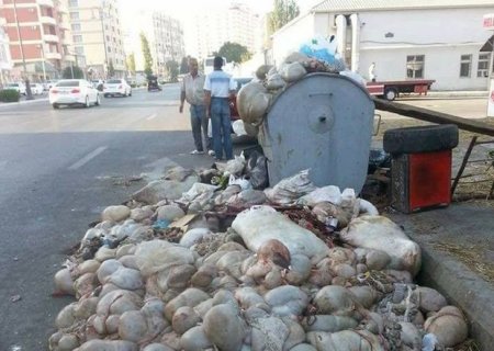 Bayramdan sonra yaranan çirkin mənzərə