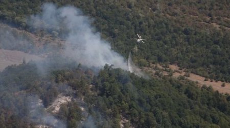 Nazirlik: Güclü külək Qəbələdəki alovu geniş ərazilərə yayır