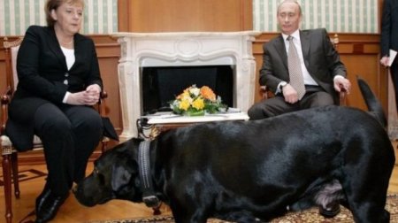 Vladimir Putin və onun zooparkı