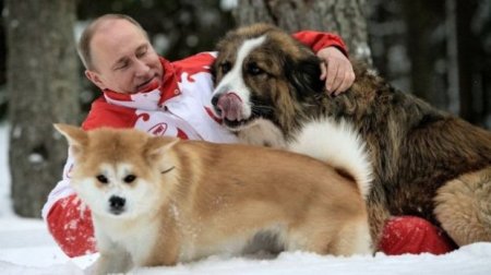 Vladimir Putin və onun zooparkı