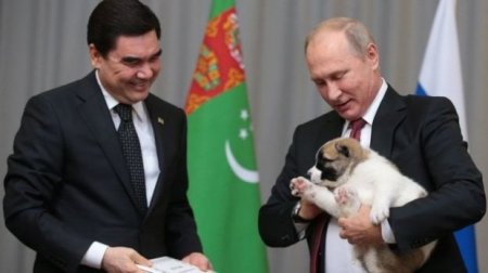 Vladimir Putin və onun zooparkı