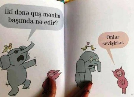 Filin başında sevişən quşlar, yaxud “apar bu qancıxı öldür...”