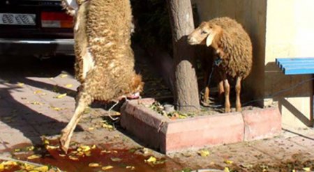 Bakının mərkəzində uşaqların gözü qarşısında baş kəsənlər kimdir?