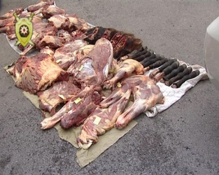 Balakəndə 500 kiloqrama yaxın at ətini satmaq istəyən şəxs saxlanılıb
