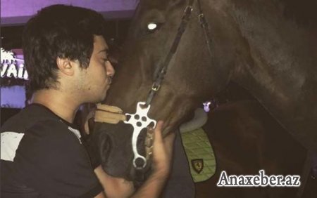 Piyadalar qaçın, “Nurgun Motors” prezidentinin “avtoş” oğlu həbsdən çıxır Piyadalar qaçın, “Nurgun Motors” prezidentinin “avtoş” oğlu həbsdən çıxır