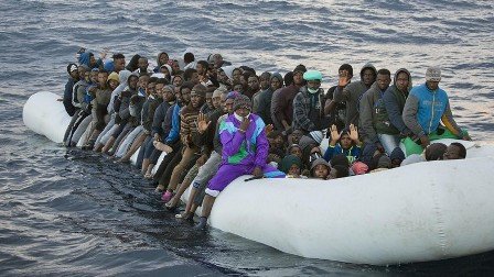 Köpək balıqları 31 miqrantı parçaladı