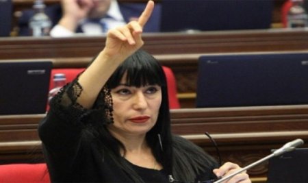 Daha iki erməni deputatı Bakıya gəlir