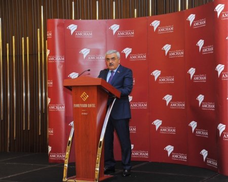 Rövnəq Abdullayev: “SOCAR müxtəlif ölkələrə investisiya qoymağa davam edəcək”