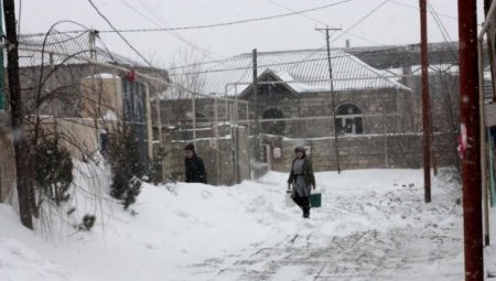 Şabranda eşşəklə su daşıyan kəndlilər: “Qışda lap çətin olur, heyvan palçığa batıb qalır...”