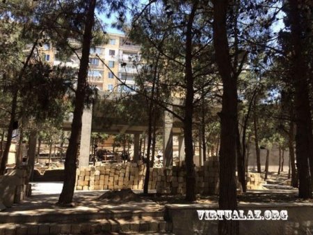 Ekologiya və Təbii Sərvətlər Nazirliyi: “Vətəndaş harada gəldi ağac əkir”