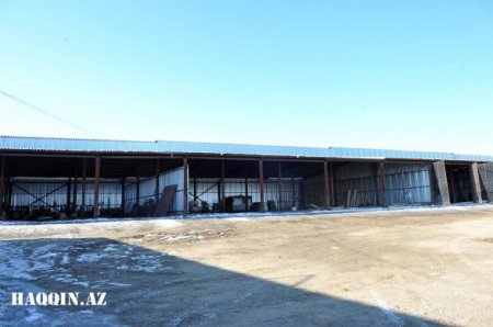 Azərbaycanda məmurlar sahibkarı doğma rayonundan didərgin saldılar
