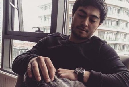 Şeyxin qudasının oğlu ilə “Nurgun Motors” şefinin övladının müdhiş fərqi