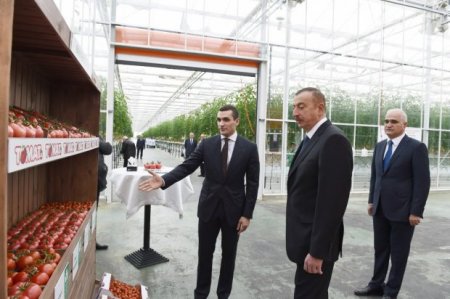 Prezident İlham Əliyev Zirə qəsəbəsində “BAKU AGROPARK”da görülən işlərlə tanış olub