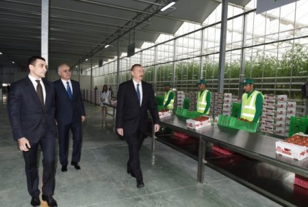 Prezident İlham Əliyev Zirə qəsəbəsində “BAKU AGROPARK”da görülən işlərlə tanış olub